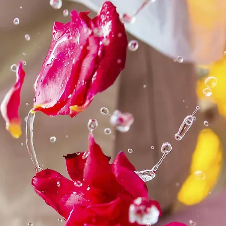 Potidea Palace Hotel 4*