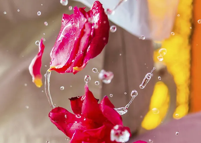 Potidea Palace Hotel 4*