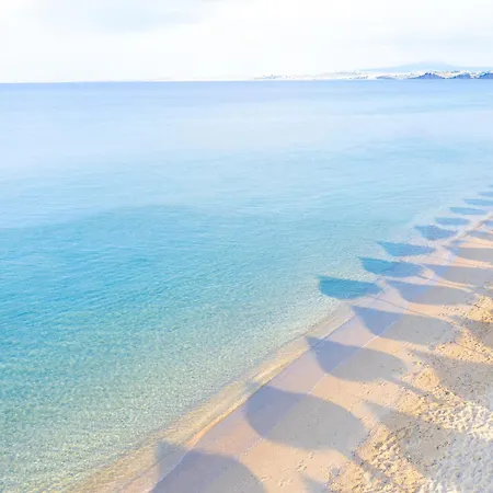 Potidea Palace Ξενοδοχείο 4*